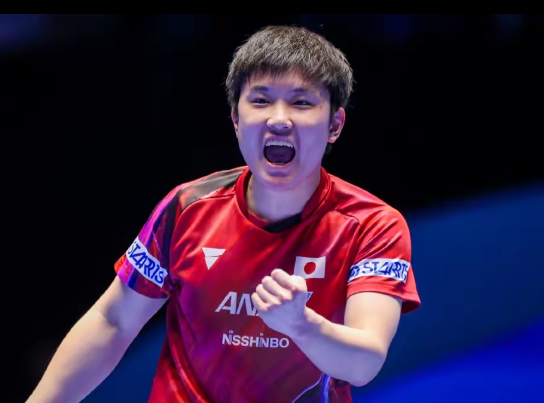 作与心理素 作与心理素